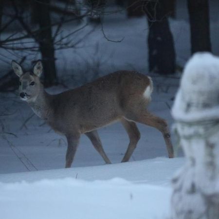 Kompleks Male Dolomity Hucisko  Luaran gambar